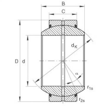 المحامل GE100-FO-2RS INA