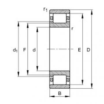 المحامل N319-E-M1 FAG