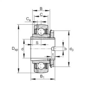 FAG شعاعي إدراج الكرات - GSH35-XL-2RSR-B