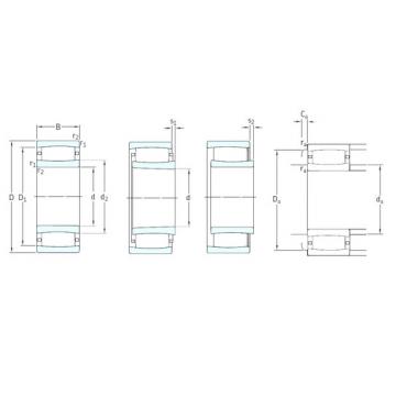 المحامل C4010TN9 SKF