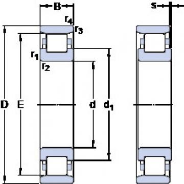 المحامل N 310 ECP SKF