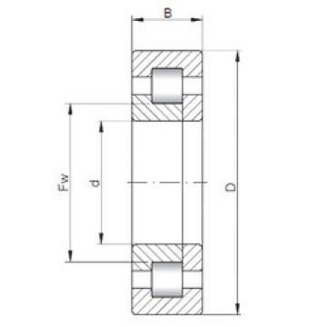 المحامل NUP2226 E CX