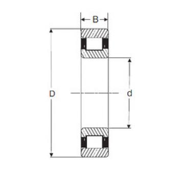 المحامل LRJ 1.3/8 SIGMA