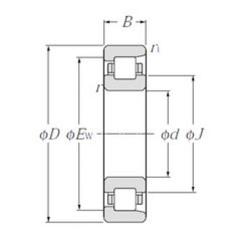 المحامل NF209 CYSD