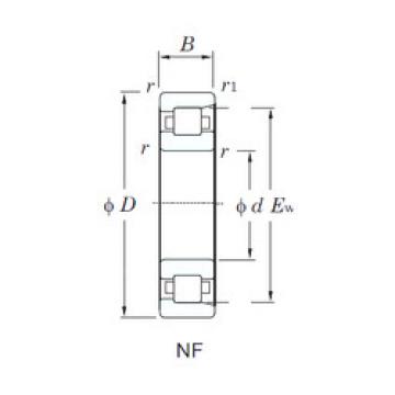 المحامل NF311 KOYO