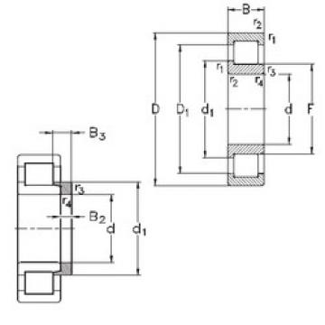 المحامل NJ203-E-TVP3+HJ203-E NKE