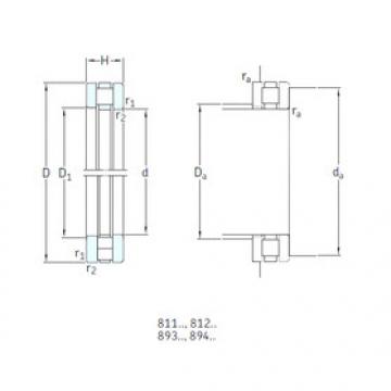 المحامل 81134TN SKF