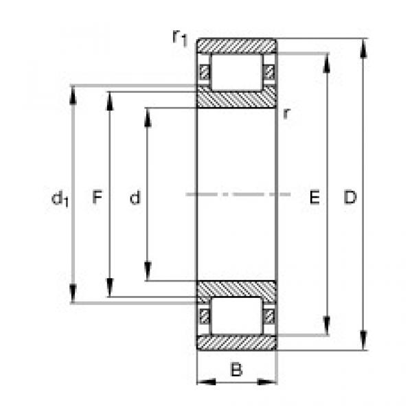 المحامل N319-E-M1 FAG #1 image