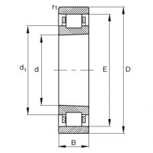 المحامل N1914-K-M1-SP FAG #1 image