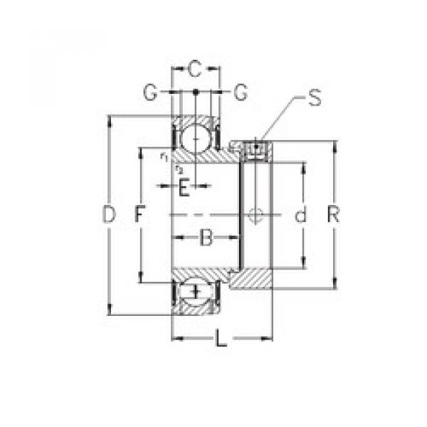 المحامل GRAE25-NPPB NKE #1 image