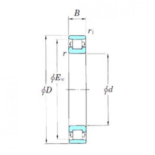 المحامل N1013 KOYO #1 image