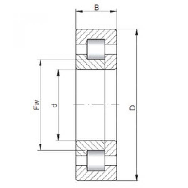 المحامل NUP2226 E CX #1 image