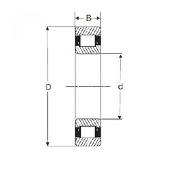 المحامل LRJ 3.1/2 SIGMA #1 image