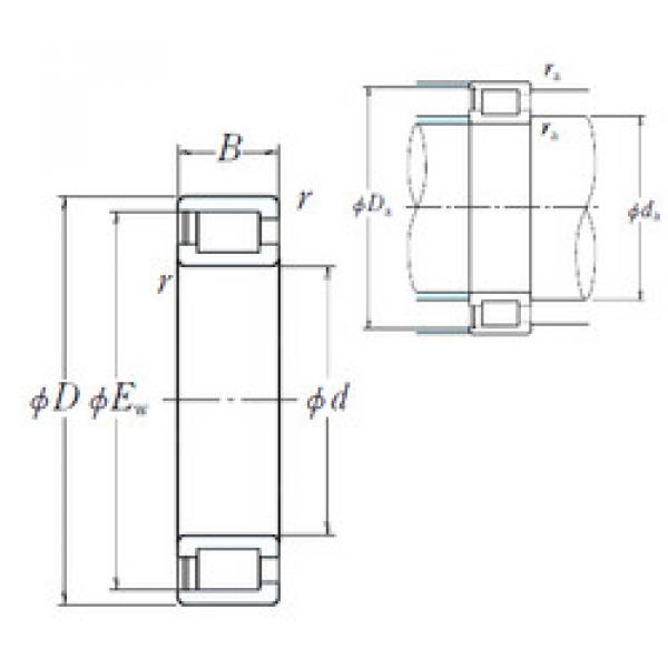 المحامل NCF3032V NSK #1 image