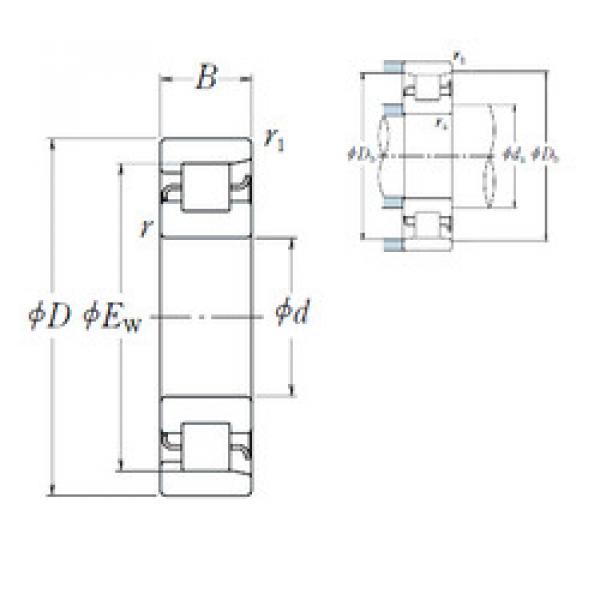 المحامل NF 321 NSK #1 image