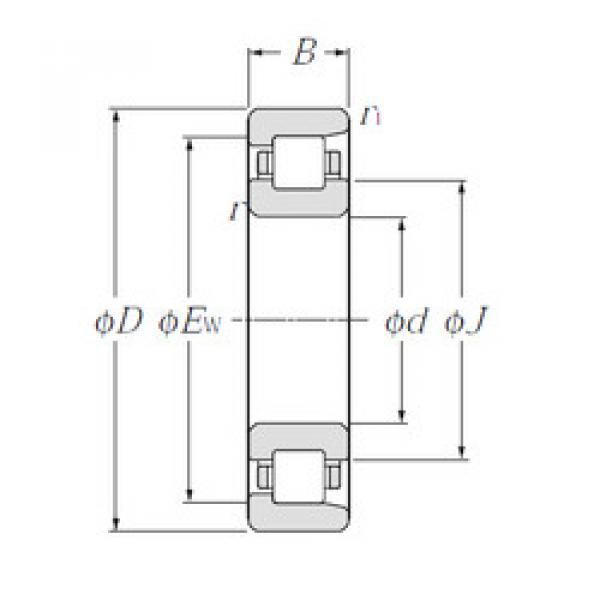 المحامل NF209 CYSD #1 image