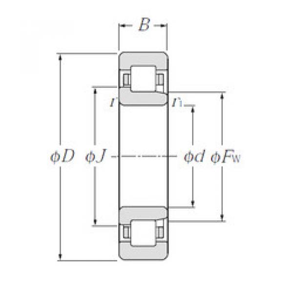 المحامل NJ2218E CYSD #1 image