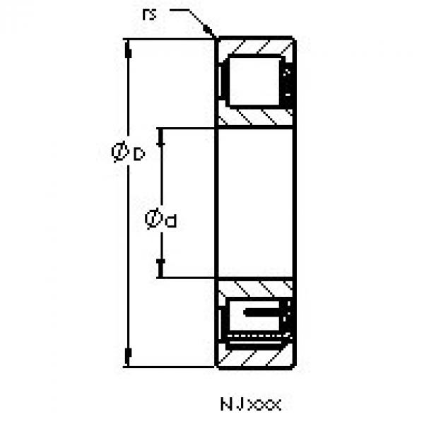 المحامل NJ221 EM AST #1 image