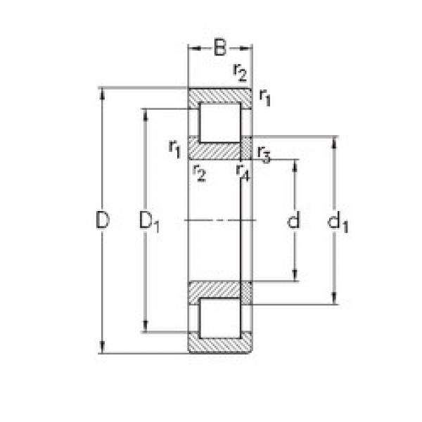 المحامل NUP211-E-MPA NKE #1 image