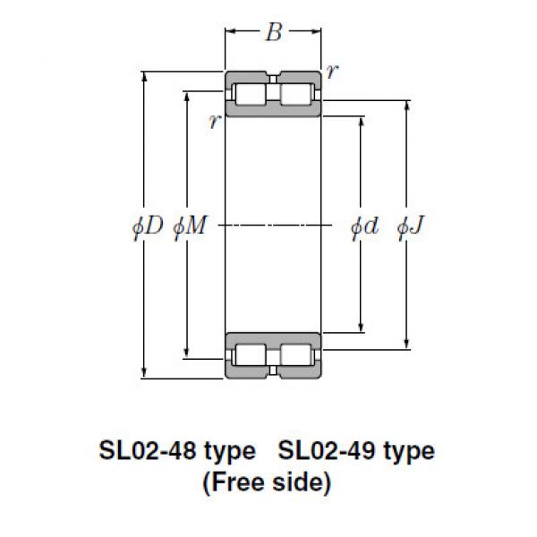 Bearing SL02-4920 #1 image